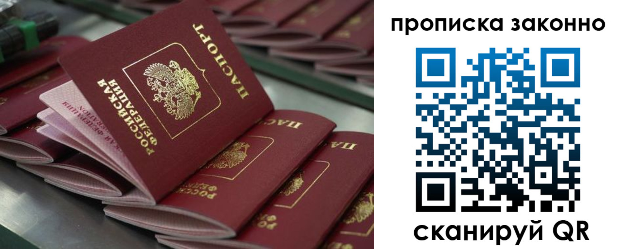 миграционный учет в Смоленской области